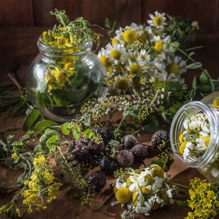 etnobotanica Terapeut în terapii complementare – Fitoterapie – etnobotanică