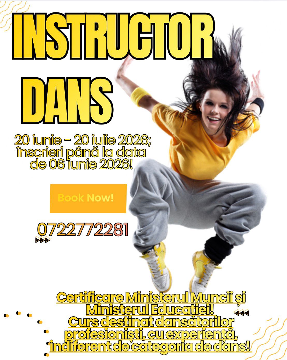 curs instructor dans